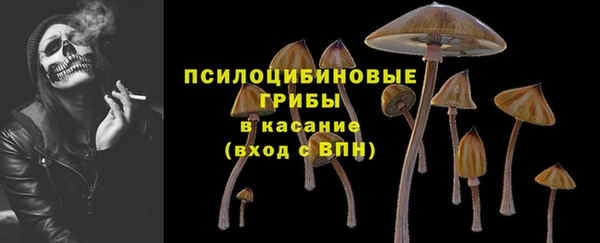 mix Богородицк