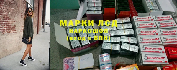 мяу мяу кристалл Богданович