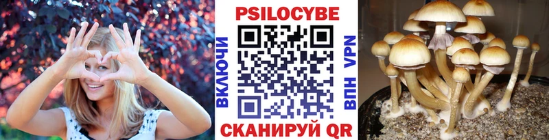 Галлюциногенные грибы MAGIC MUSHROOMS  дарнет шоп  Бор 